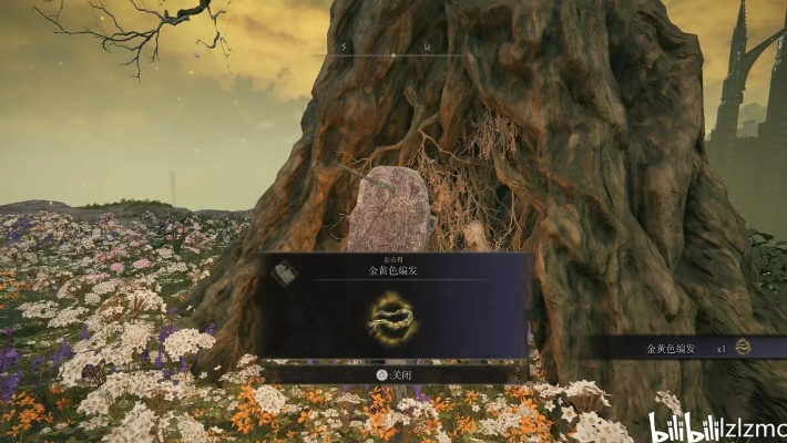 《艾尔登法环》DLC黄金树攻略：高效通关与装备精选指南