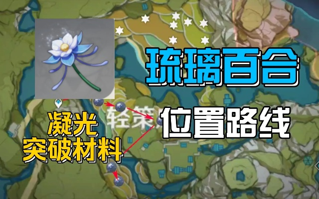 《原神》琉璃百合采集攻略：一图掌握最佳位置解析