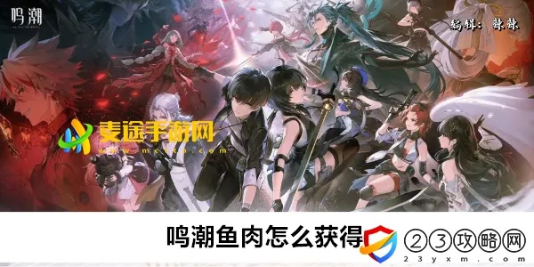 《鸣潮》独家攻略：禽肉鱼肉高效采集路线大揭秘！