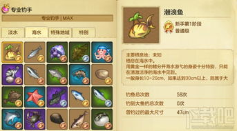 《鸣潮》探秘：鱼语翻译攻略，解锁海洋新奥秘