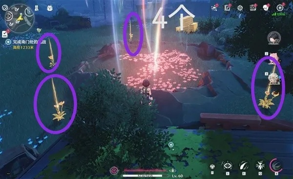 妙戈花高效采集攻略，探索《鸣潮》新境界