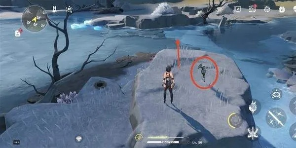 傲寒钟采集攻略：揭秘《鸣潮》新价值点探秘