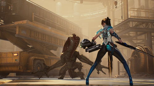 《剑星硬直解析：星刃术语深度解读与价值洞察》