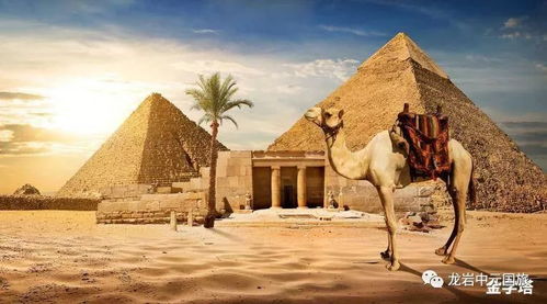 古埃及文明探秘：揭秘世界启元新篇章