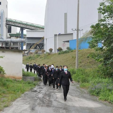 《星球工匠》矿场探秘：矿物宝藏获取攻略全解析