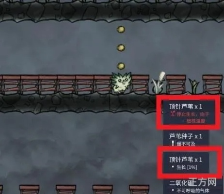 缺氧松鼠产泥土攻略：高效搭建新技巧揭秘