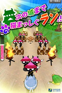 茸茸城堡大喵险首日攻略，解锁神秘宝藏新篇章