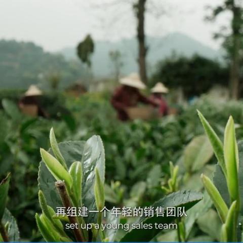 千织武器攻略：如何精准选择，打造最强输出阵容