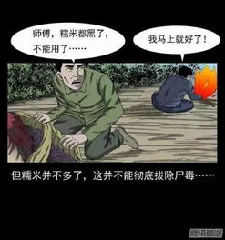 潘多拉边境全刃翅蛾踪迹探秘指南