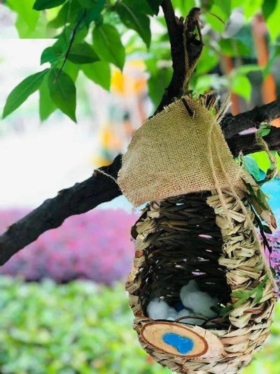 《林间暖巢》温馨冒险启航，探索新生命价值之旅