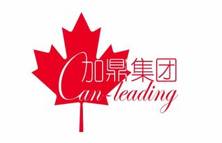 37天挑战成功，冷美人吸金8666元，赞助慰问金惊喜来袭！