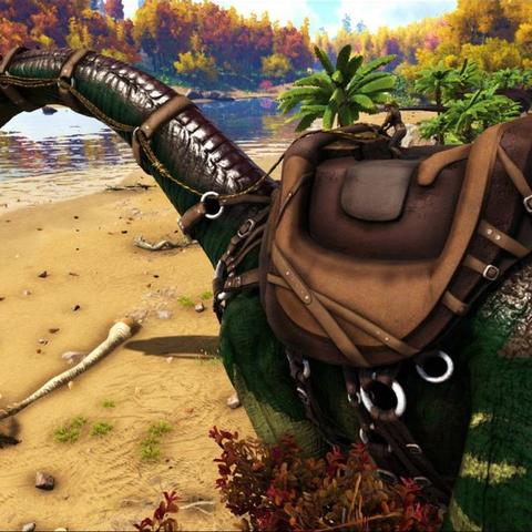 《命运方舟》PVP岛屿全揭秘：种类详览与参与攻略一网打尽