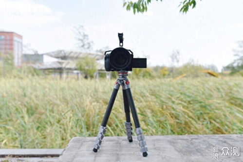 新手三角架选择攻略：揭秘《命运方舟》三角架新价值选法