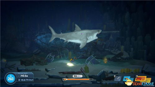 大西洋鲣鱼捕获秘境揭秘，戴夫潜水员必看攻略