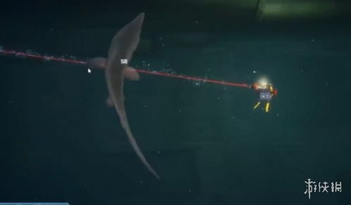 《潜水员戴夫》鲨牙攻略：高效刷钱技巧揭秘新解法