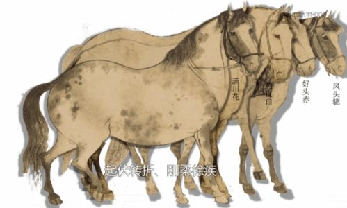 《暗黑4》全马匹护具攻略：利品收集秘籍大揭秘！