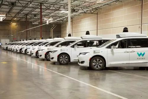 自动驾驶新挑战：Waymo撞网红猫引发公关风波