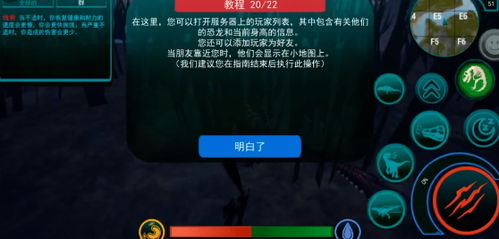 彩虹岛官方下载2025，安全正版渠道全攻略？