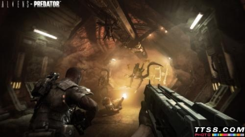 异形铁血激战揭秘：全新视角探秘科幻巅峰对决