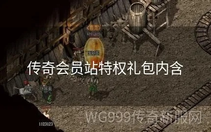 🌟传奇3特权礼包真能逆天改命？老骨灰实测避坑指南