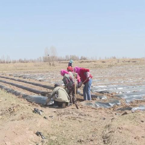 掌握Minecraft时间操控秘籍：昼夜流转技巧全解析