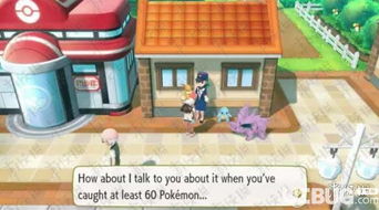 《精灵宝可梦皮卡丘伊布》技能伤害解析，深度揭秘全新价值攻略