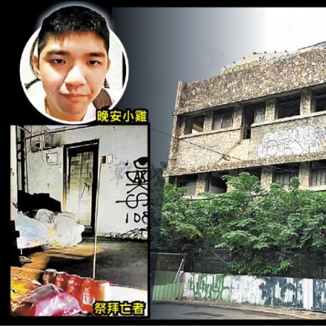 狂奔小鸡新史低！《正在》影改游戏《狂奔》IP大放异彩