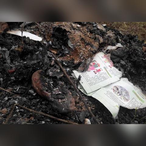 《骑马与砍杀2》1.3.6版战帆DLC深度解析：全新改动亮点抢先看