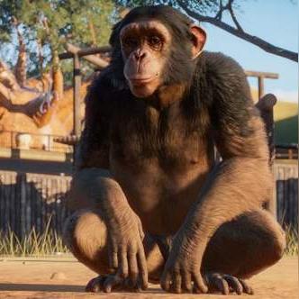 真实模拟游戏哪个最好玩 最热真实模拟游戏精选