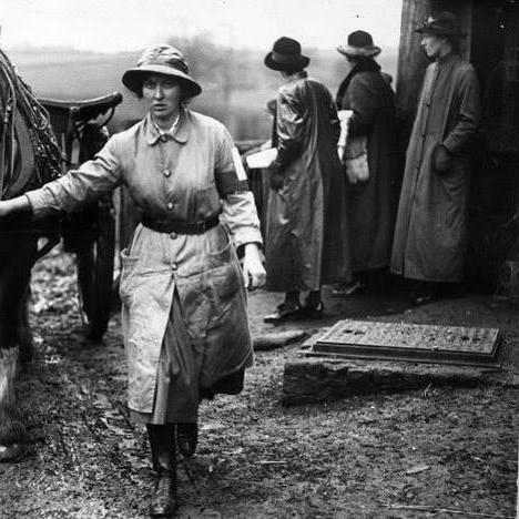 疫病爆发模拟游戏下载 下载量高的疫病爆发模拟游戏排行榜