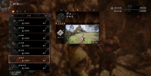 《卧龙苍天陨落》新手必看：破解常见误区，掌握高效攻略秘籍