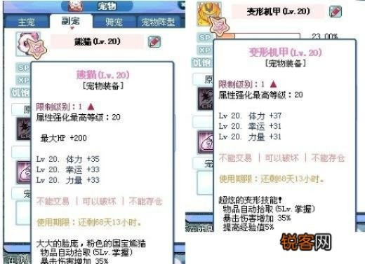 彩虹岛灵宠技能书，2025年新版本隐藏秘籍能拯救你的团战吗？