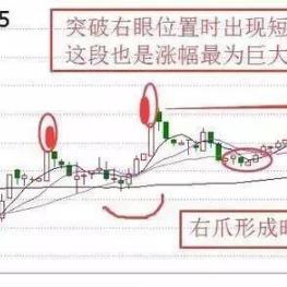 蛤蟆怪物捕捉攻略：超自然行动组蛤蟆战法揭秘新技巧
