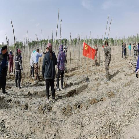 超自然行动组1.17版全新升级，深度解析更新亮点与价值革新