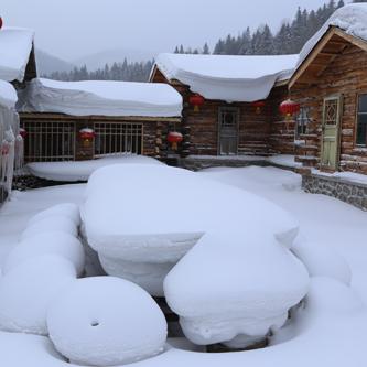 豪华日式风宅秘籍：打造《动物森友会》梦幻家园攻略