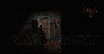 《生化危机9：安魂曲》NS2独家体验，惊悚解密新篇章