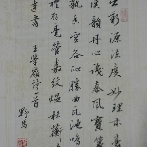 《虚实万象》攻略：深度解析版本差异与配置必备指南