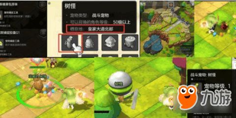 弹弹堂宠物自动攻击攻略：高效战斗新秘籍