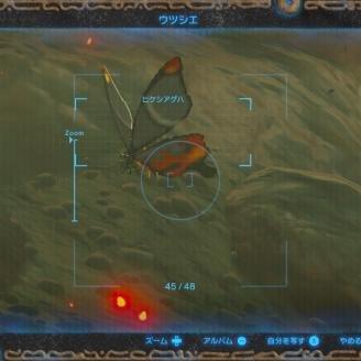 塞尔达无双封印战记火山危机全攻略：火速通关秘籍大揭秘