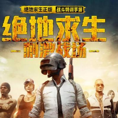 《绝地求生》自定义模式深度解析：设置技巧大揭秘，轻松入门！