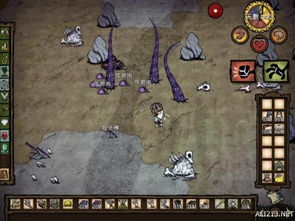 《饥荒》联机攻略：老麦奶奶默契配合，解锁全新生存技巧