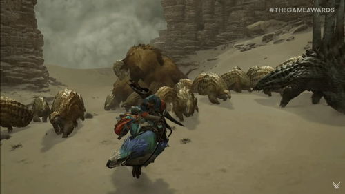 《怪物猎人荒野》1.04版新内容速览：探索荒野新价值