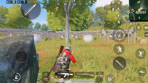 《森林之子》探秘：核心点位一网打尽，探险新篇章启航