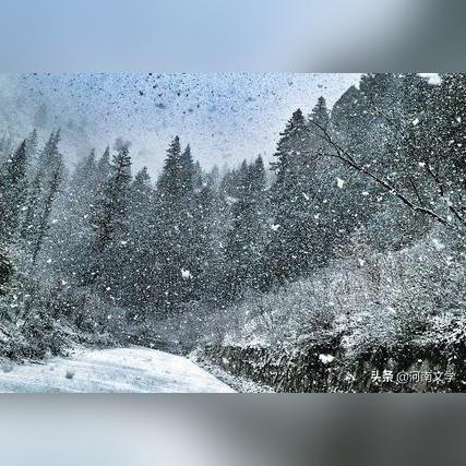 哈尔滨奇寒！男子单裤抗冻血管破裂，挑战极限警示！