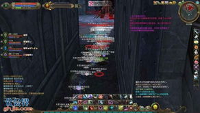 永恒之塔官方下载，玩家为何深夜急求？权威秘笈限时解锁！