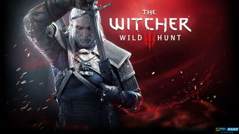 巫师动捕再现巅峰，Vernyhorn HEMA荣耀重生