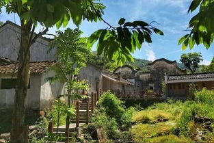 还原《我的世界》日式乡村奇迹：照片级逼真再现，建造艺术新巅峰