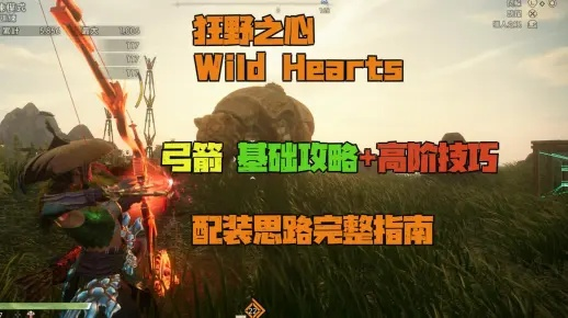 《狂野之心》弓箭毕业装备攻略：打造最强箭术精英，解锁全新战斗价值