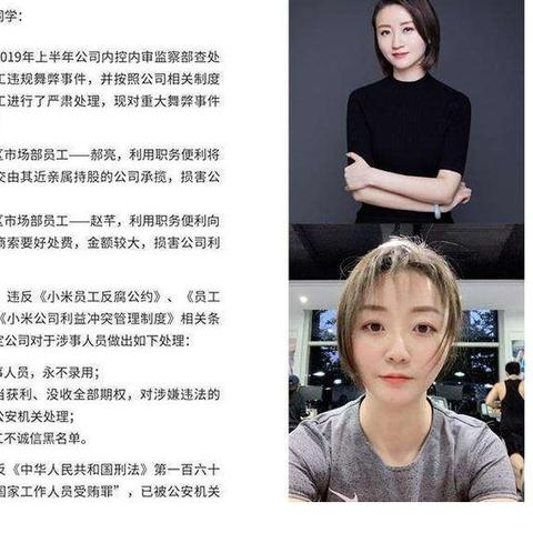 东北寒风挡不住小米热情，雷军豪言壮志引领汽车新潮流