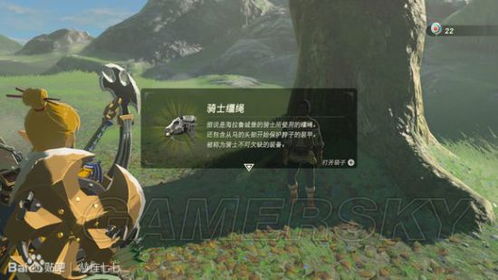 《塞尔达传说荒野之息》深度解析：解锁游戏系统奥秘，体验沉浸式冒险之旅